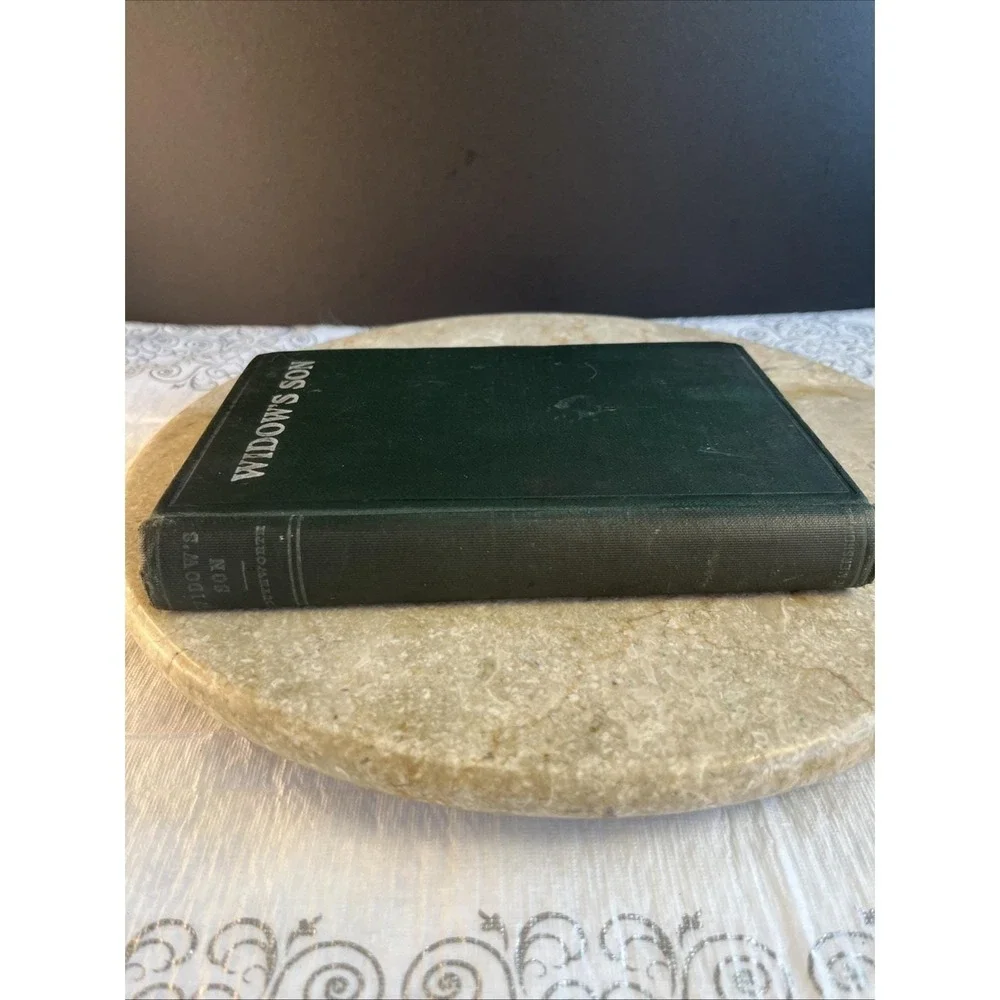 Early 1900's Copy Widow's Son by Mrs. E D E N Southworth Good Condition